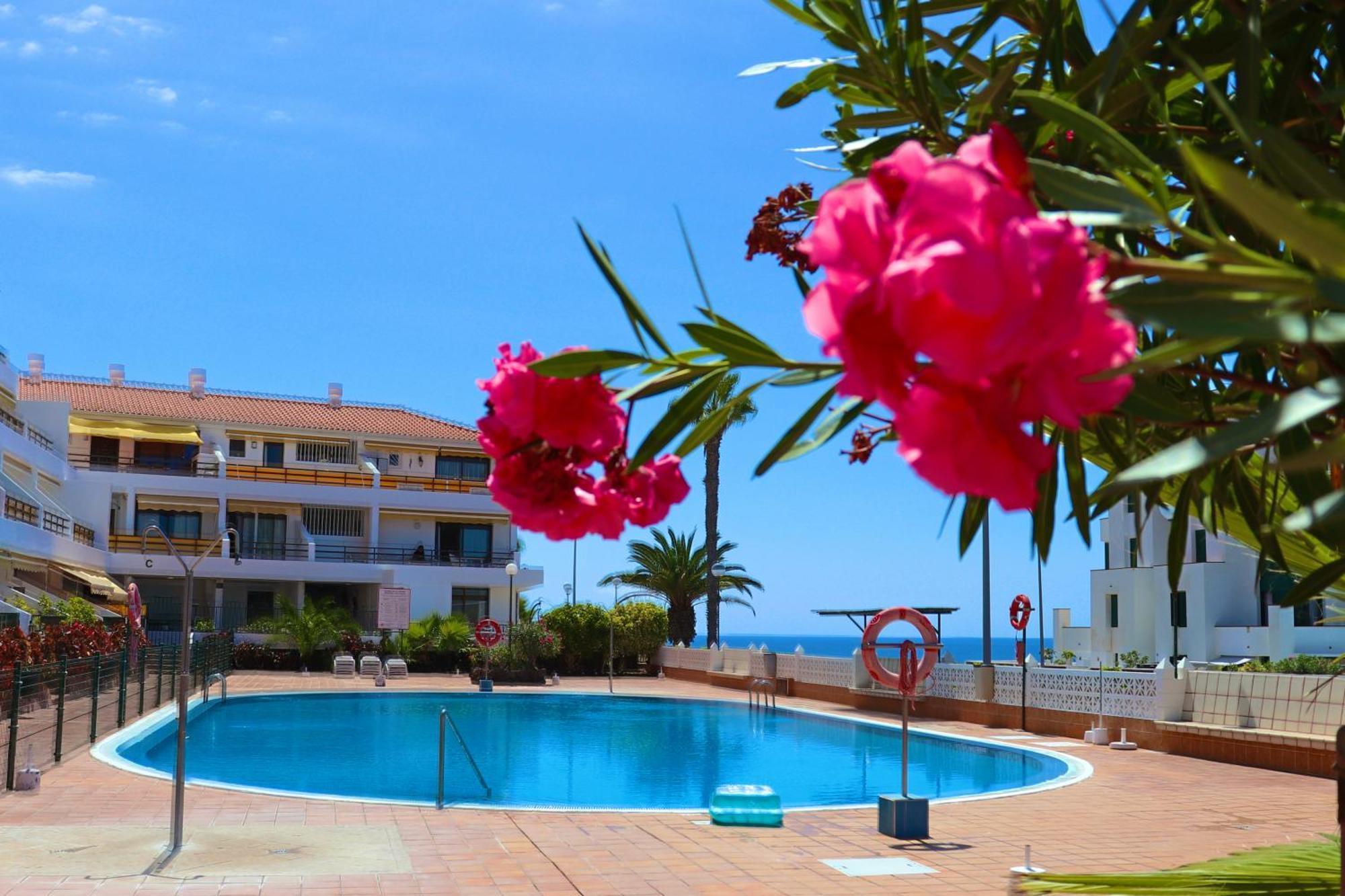 Sunflower Apartment Just Relax Puerto de Santiago  Exterior foto
